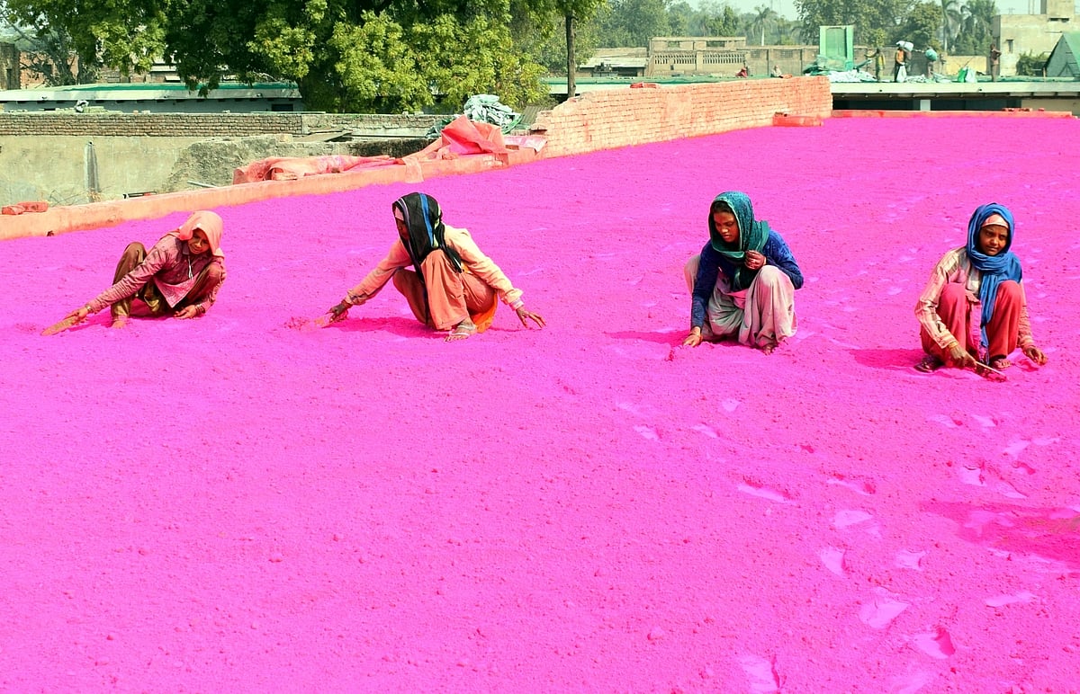 February 16: Delhi and beyond, in pictures