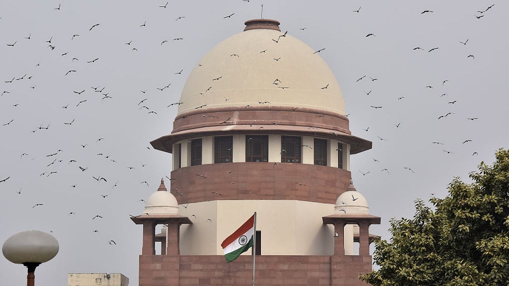 Photo by Sonu Mehta/Hindustan Times via Getty Images