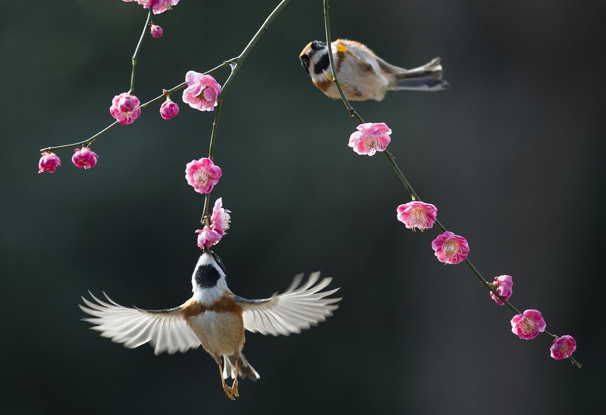 March 13: Delhi and beyond, in pictures