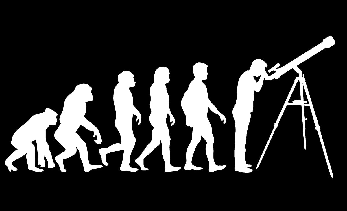 Open letter to the Minister  for Demolishing Theory of Evolution