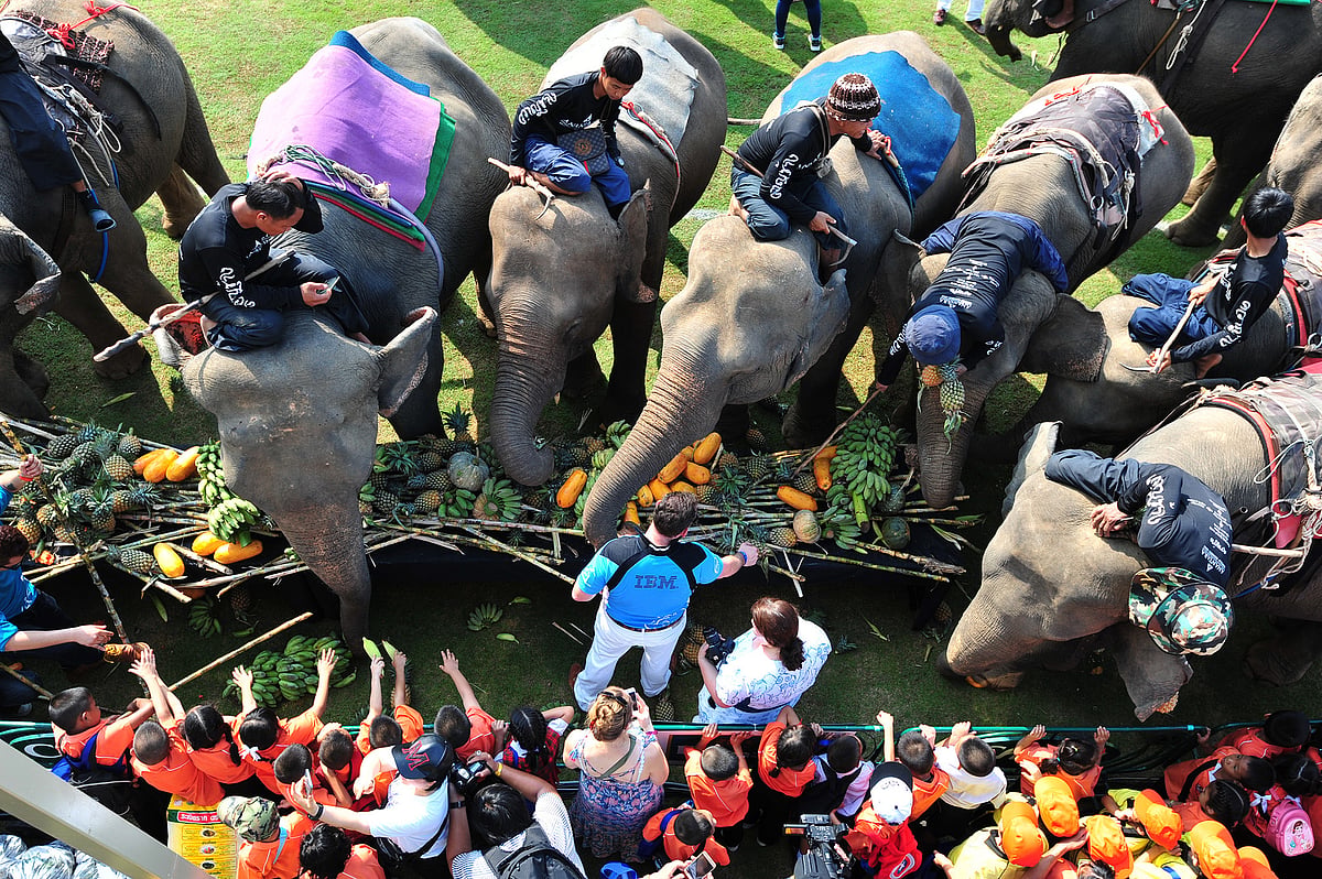 March 09: Delhi and beyond, in pictures