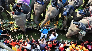 March 09: Delhi and beyond, in pictures