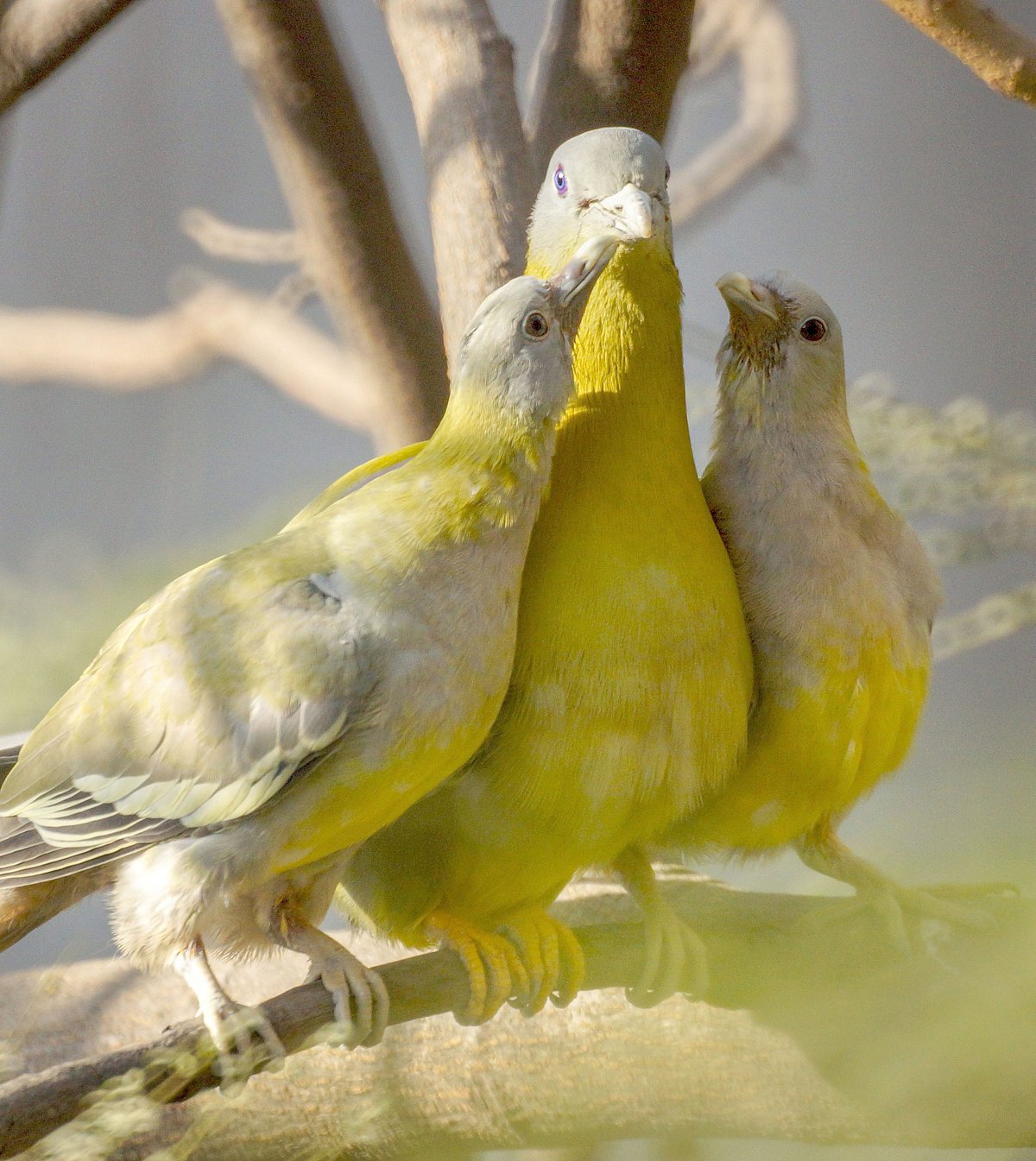 March 19: Delhi and beyond, in pictures