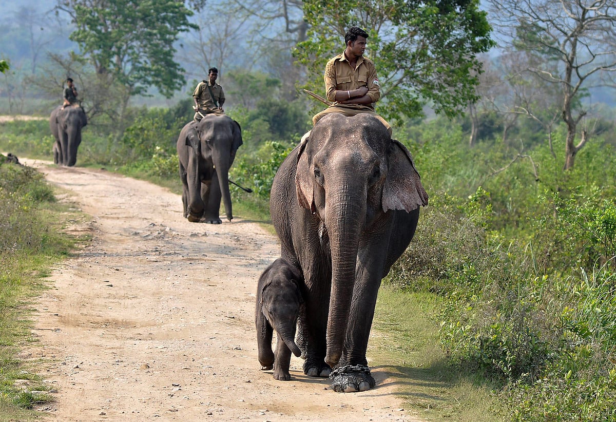 March 26: Delhi and beyond, in pictures
