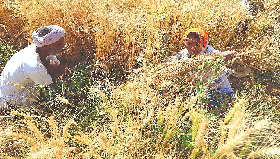 Redressal of farmers woes  need new economic thinking