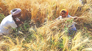 Redressal of farmers woes need new economic thinking