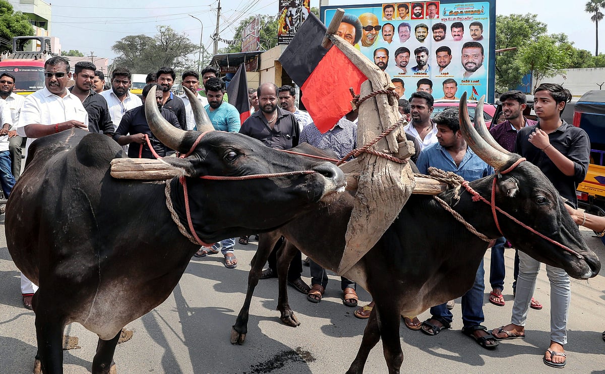PTI