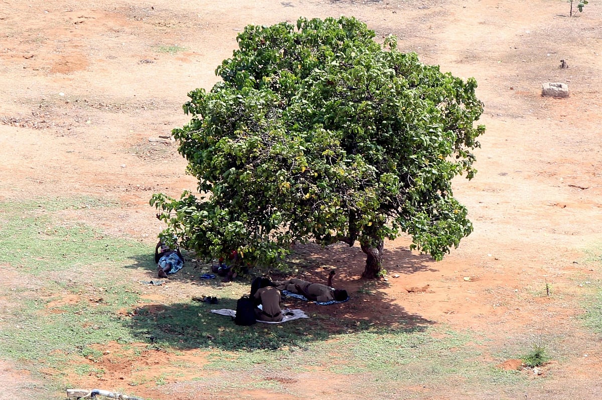 April 20: Delhi and beyond, in pictures