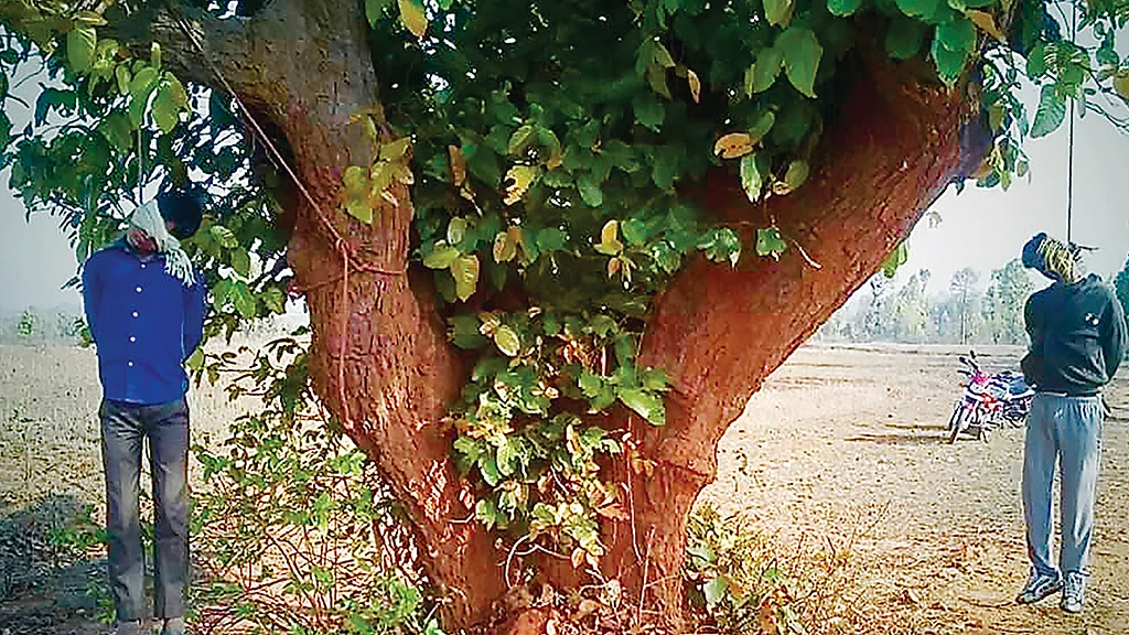 Latehar lynching: Jharkhand Police lets murderers get away