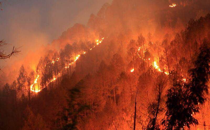 Helpless Uttarakhand CM leaves it to rain to put out ravaging forest fires