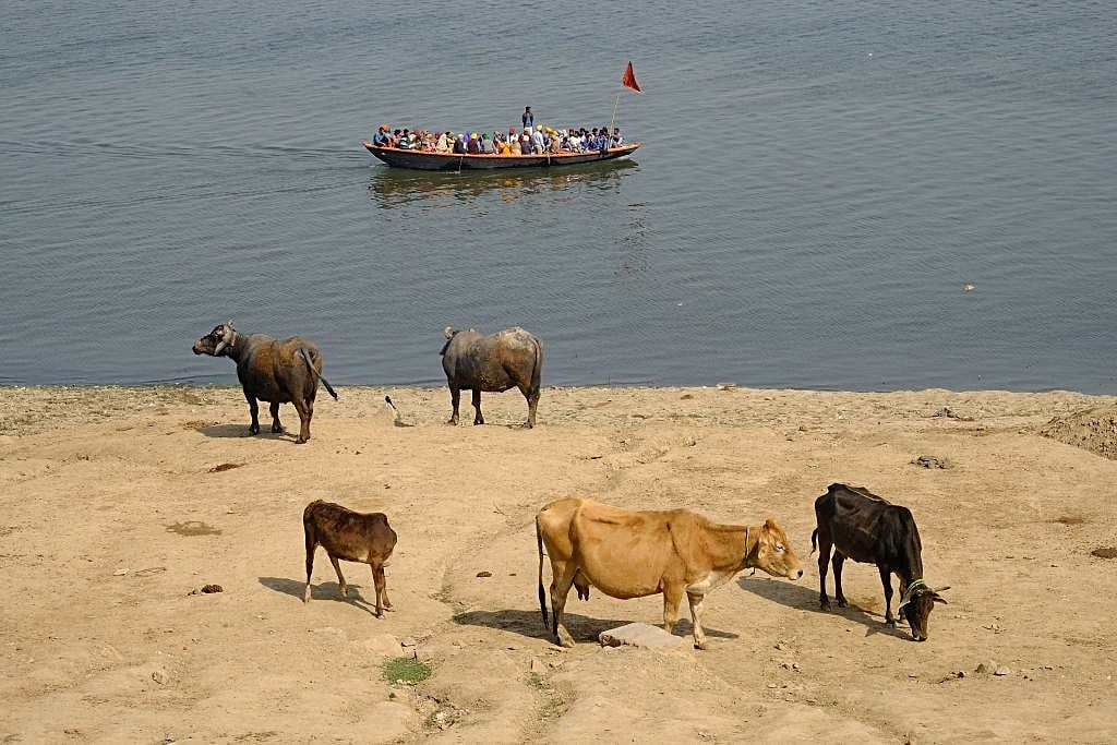 Alarming drop in water level in Ganga at Varanasi; DM’s urgent message