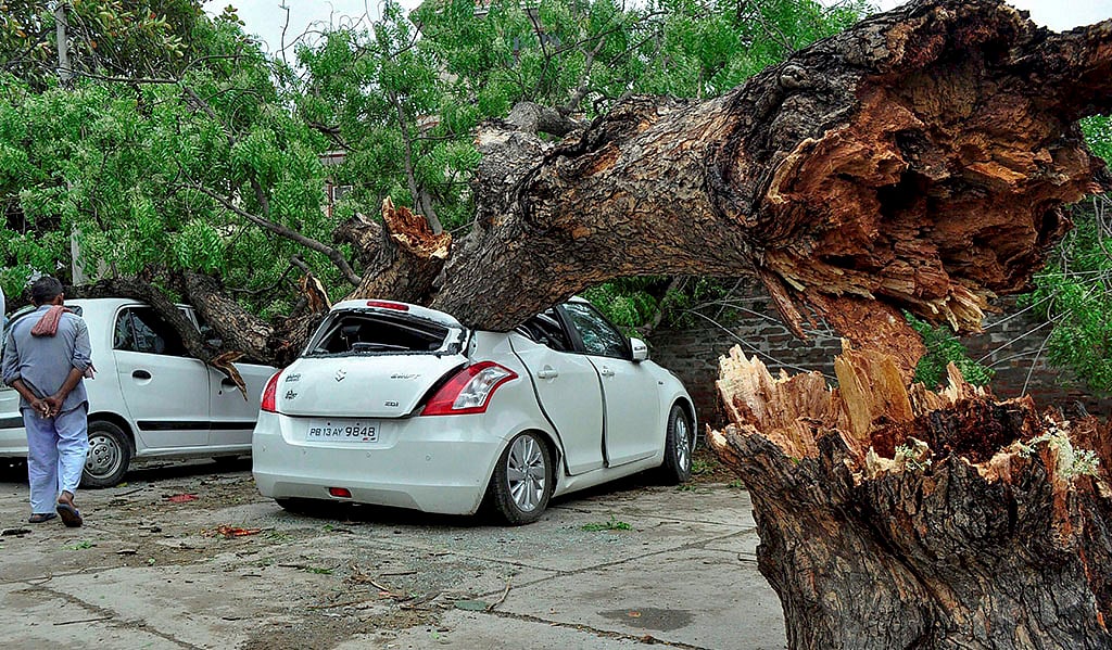 64 in Uttar Pradesh die in storm; 43 dead in Agra alone
