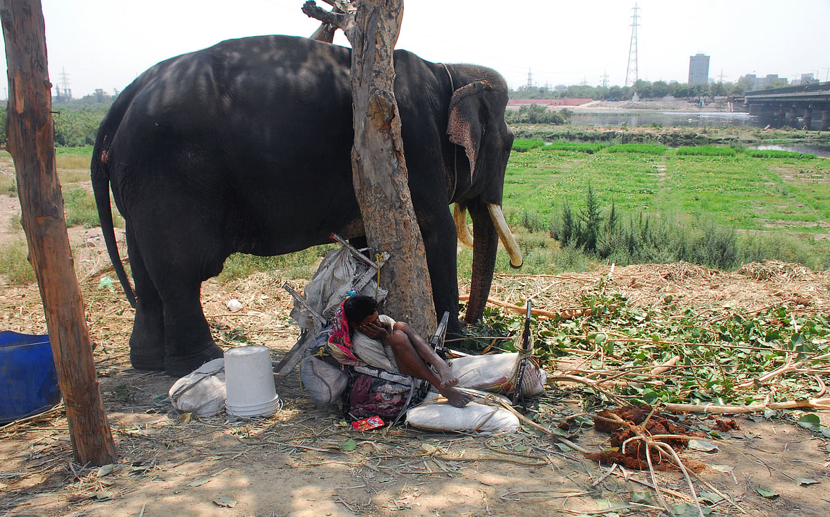 May 26: Delhi and beyond, in pictures