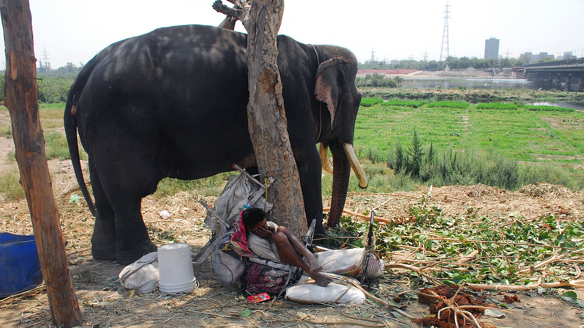 NH photo by Pramod Pushkarna