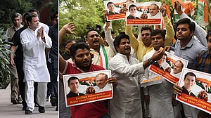 ‘Fake nationalism’: Rahul Gandhi hits Modi, Shah, BJP where it hurts