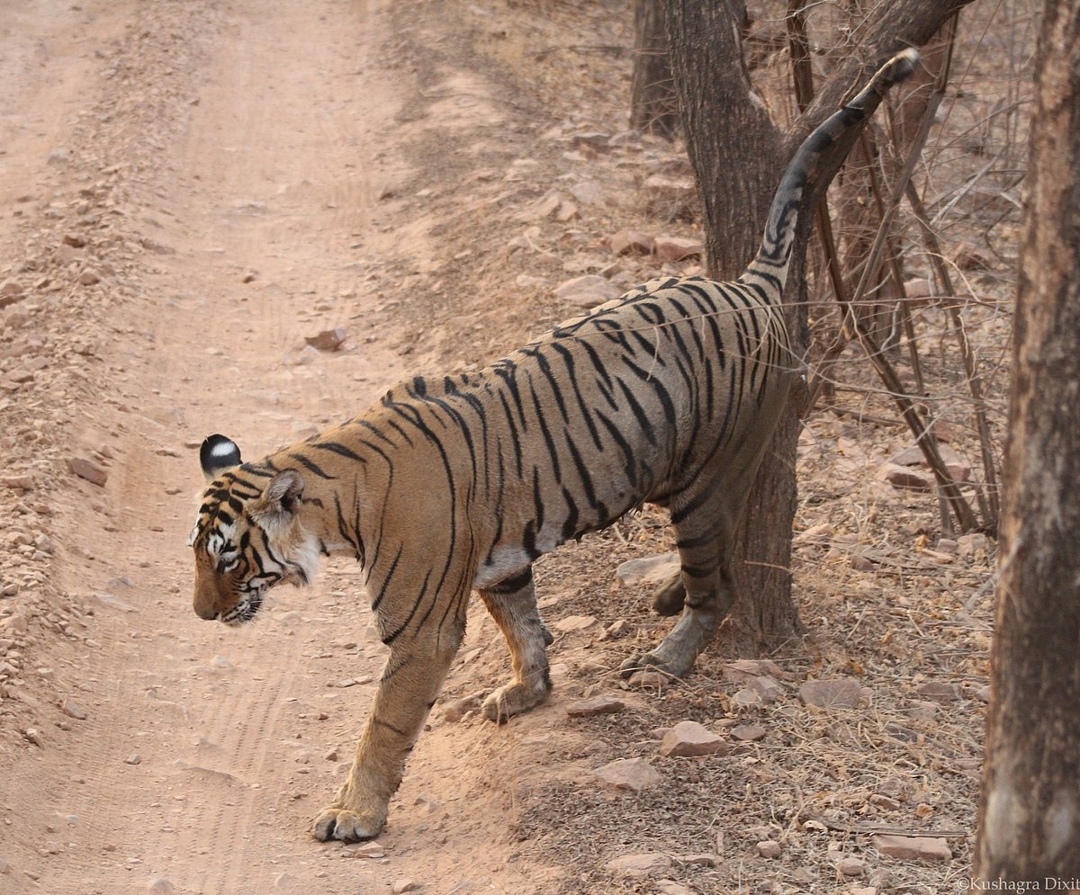 June 25: Delhi and beyond, in pictures