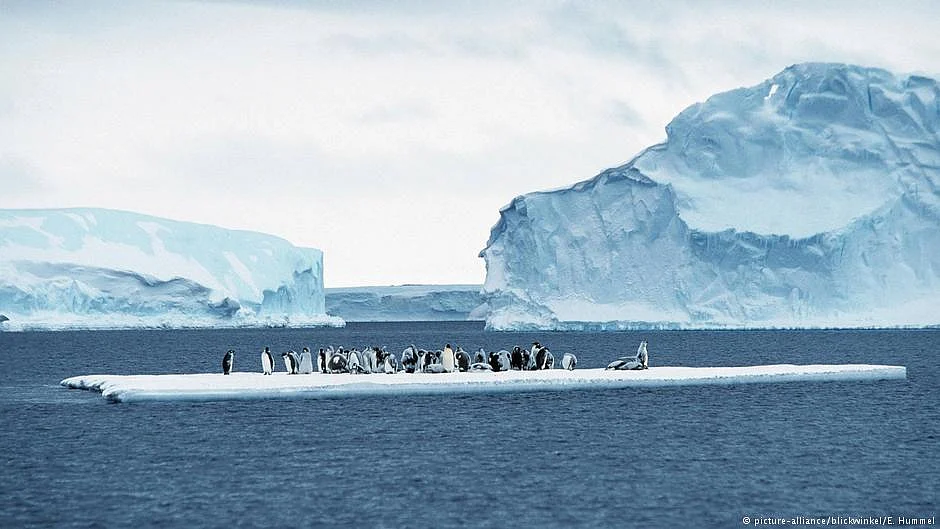 Arctic vs. Antarctic ice melt (photo: DW)