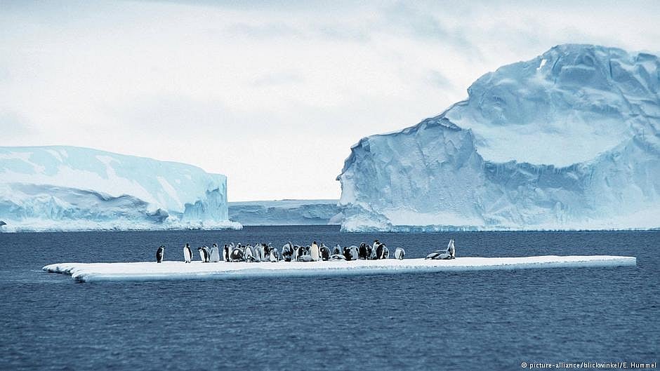 Arctic vs. Antarctic ice melt (photo: DW)