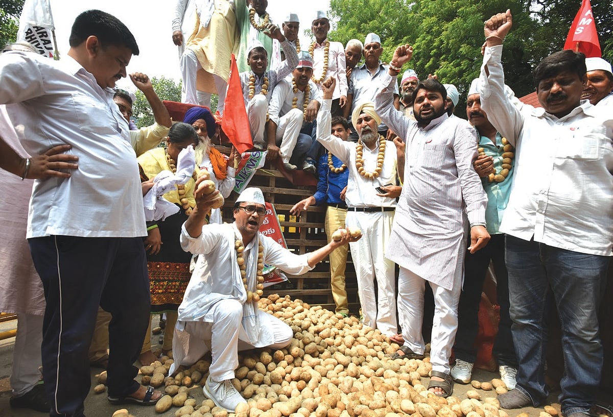 MP claims agrarian success, reality points to the opposite