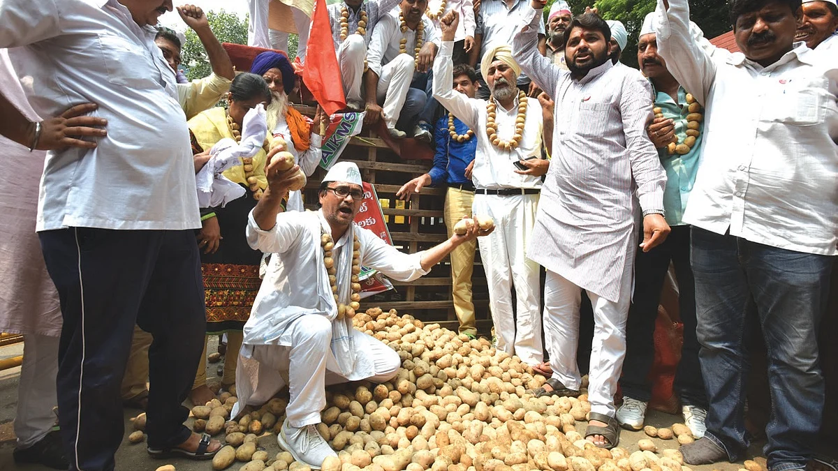 MP claims agrarian success, reality points to the opposite