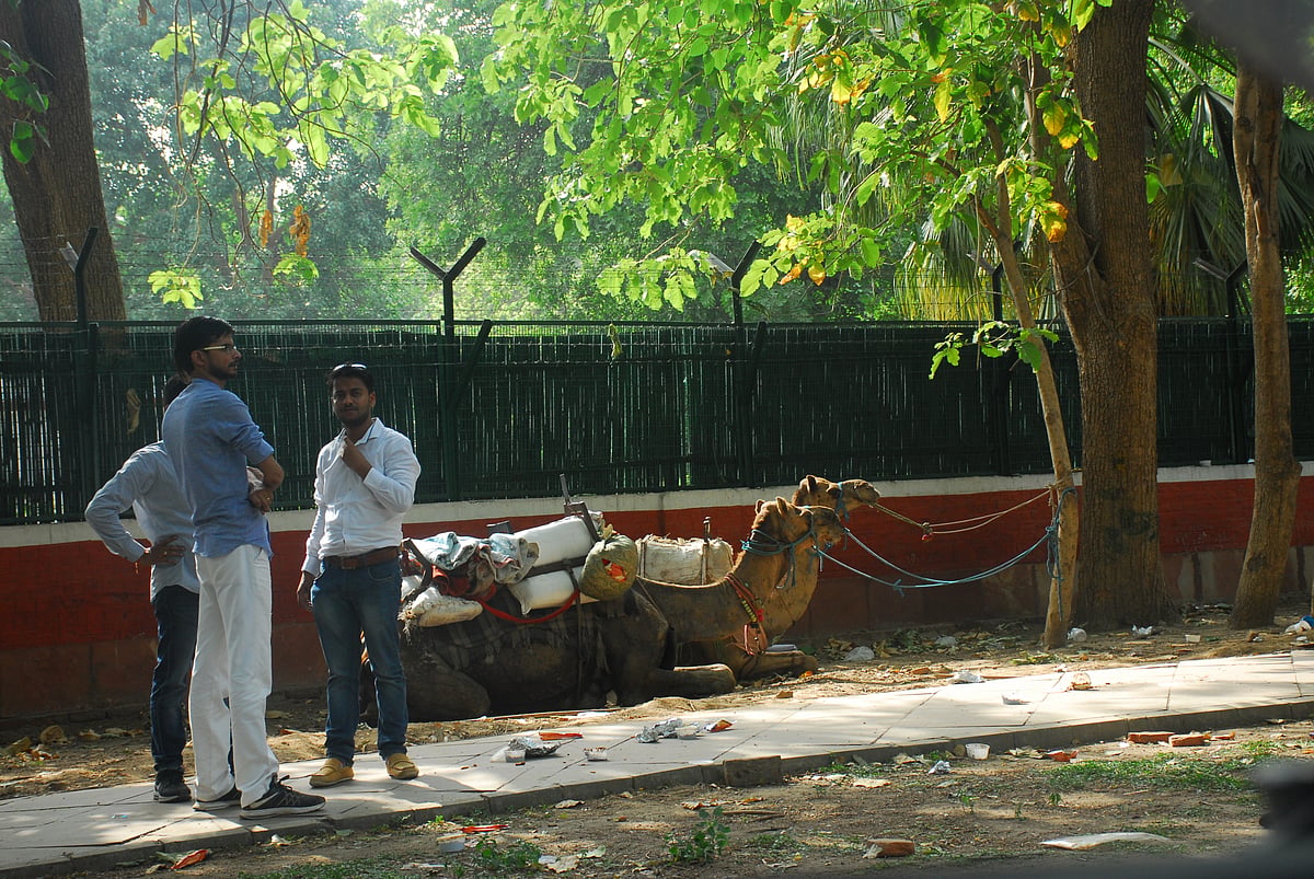Pramod Pushkarna