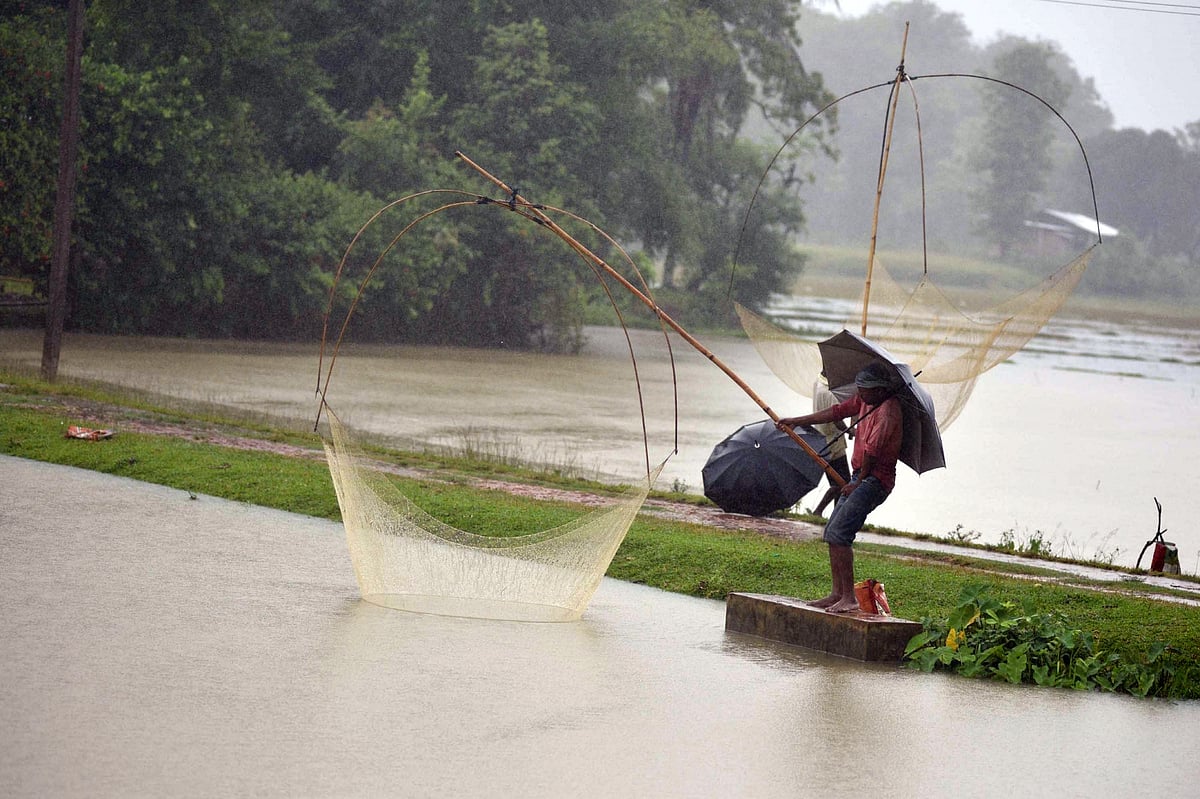 June 14: Delhi and beyond, in pictures