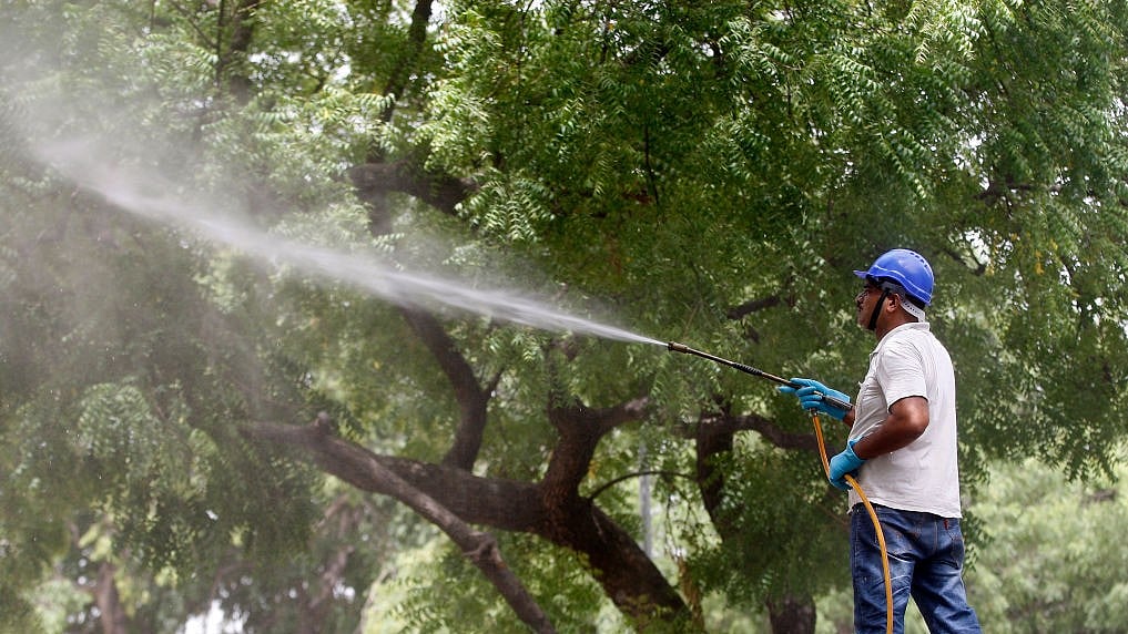 Photo by K Asif/India Today Group/Getty Images