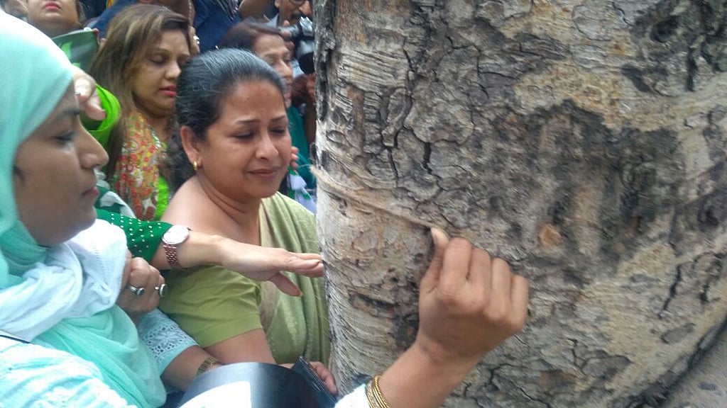 Congress backs Delhi’s residents, launches ‘Save the Tree’ campaign