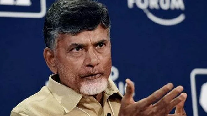 Andhra Pradesh Chief Minister N Chandrababu Naidu (PTI)