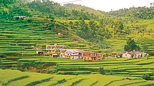 A Kumaon Diary: The assault on the hills