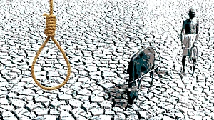 Farmer suicides continue unabated despite PM Modi’s tall promises