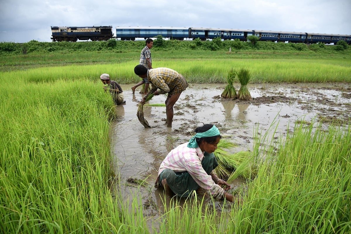PM Modi has hoodwinked farmers on MSP, says Congress