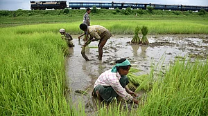 PM Modi has hoodwinked farmers on MSP, says Congress
