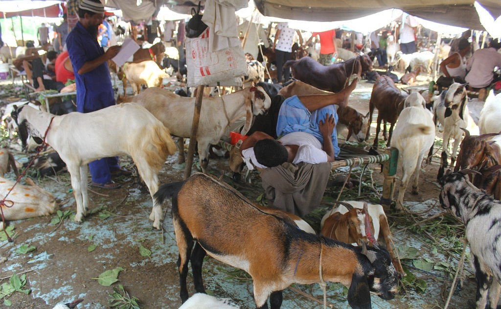 Livestock sale dips in Delhi, Muslims donate money to Kerala instead