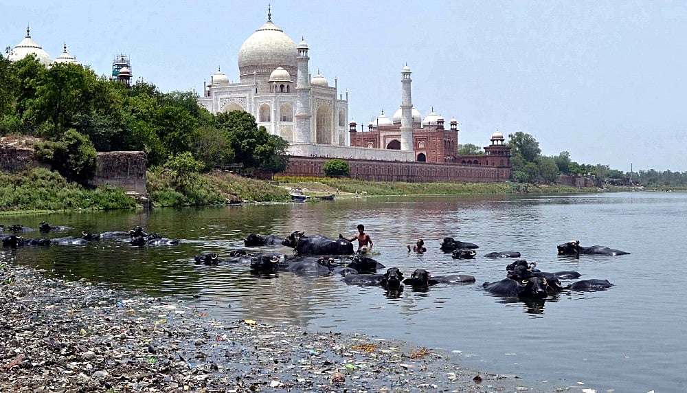 Yamuna pollution: Cycle yatra from Agra’s Taj to Delhi’s India Gate