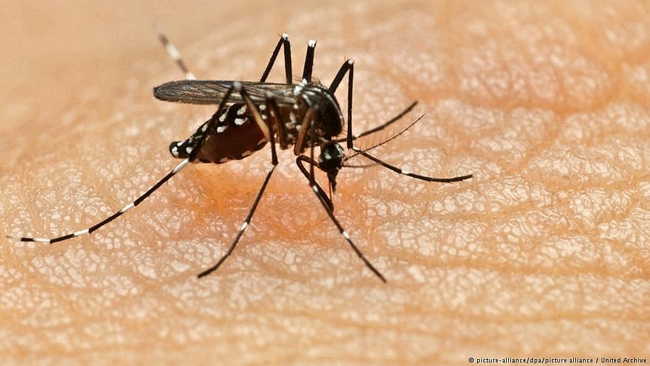 TN deploys Mobile Medical Teams to check spread of West Nile virus