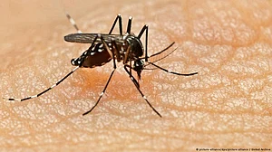 TN deploys Mobile Medical Teams to check spread of West Nile virus