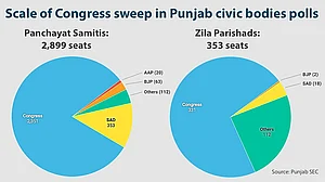 After massive Congress victory in Punjab civic polls, Lok Sabha sweep expected