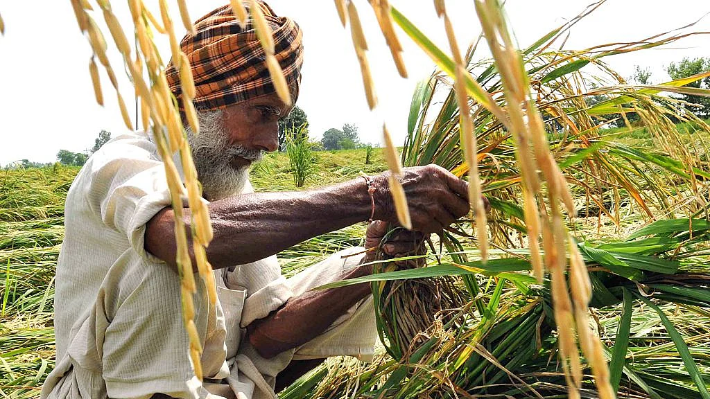 Photo by Bharat Bhushan/Hindustan Times via Getty Images