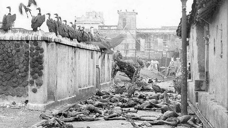 Vultures feeding on corpses in the street of Calcutta, 1946&nbsp; &nbsp;  &nbsp;
