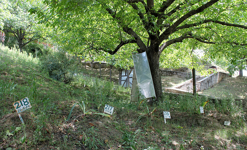 Have we forgotten about the mass graves in Kashmir? Who lies in them?