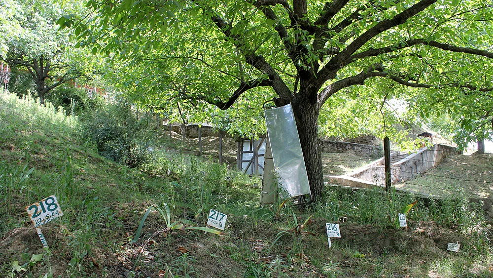 Have we forgotten about the mass graves in Kashmir? Who lies in them?