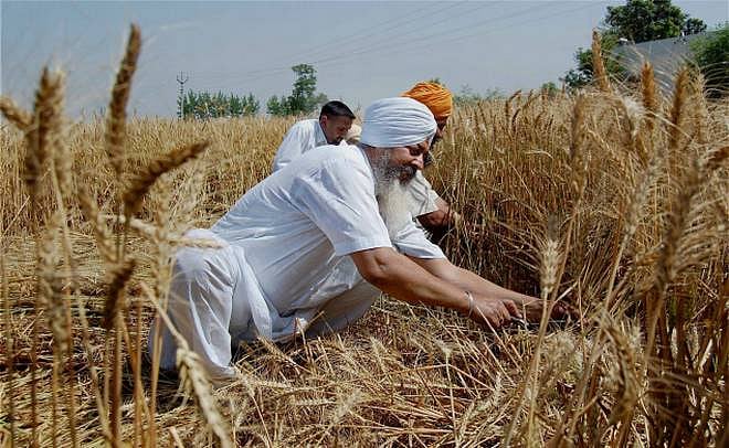 Climate crisis will have serious impact on food production, says study