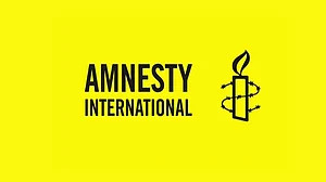 Amnesty India: Government treating human rights bodies like ‘criminal enterprises’