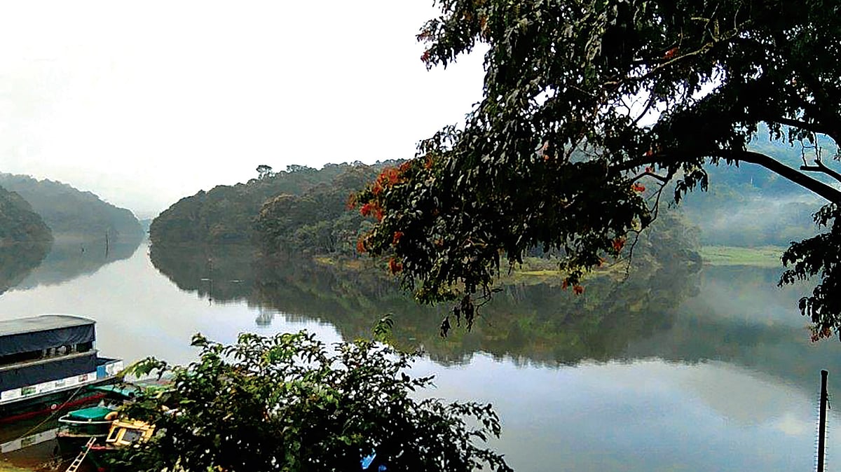 A view of the Periyar Lake