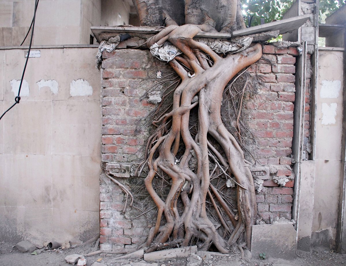 Photo by Pramod Pushkarna
