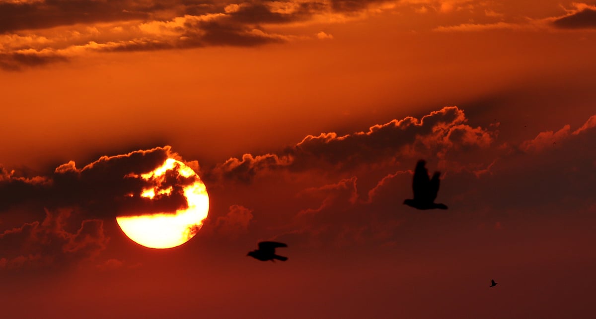 October 13: Delhi and beyond, in pictures