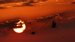 October 13: Delhi and beyond, in pictures