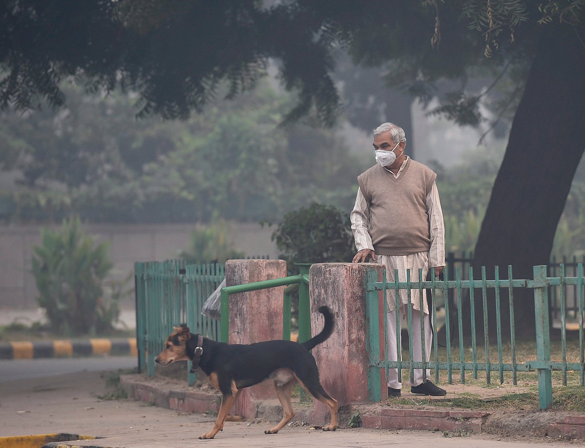 SC ban on firecrackers flouted, air pollution rose six times  