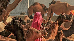 November 15: Delhi and beyond, in pictures